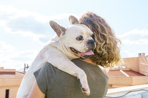 Do Dogs Hug? Insights into Canine Affection and Human Bonding