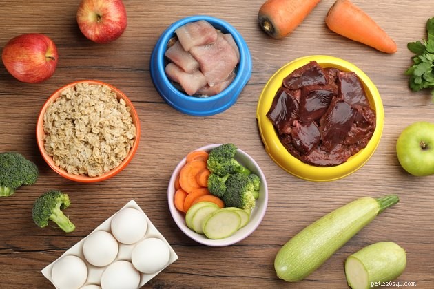 Top Dog Food Toppers of 2022: Boost Flavor, Nutrition, and Mealtime Appeal