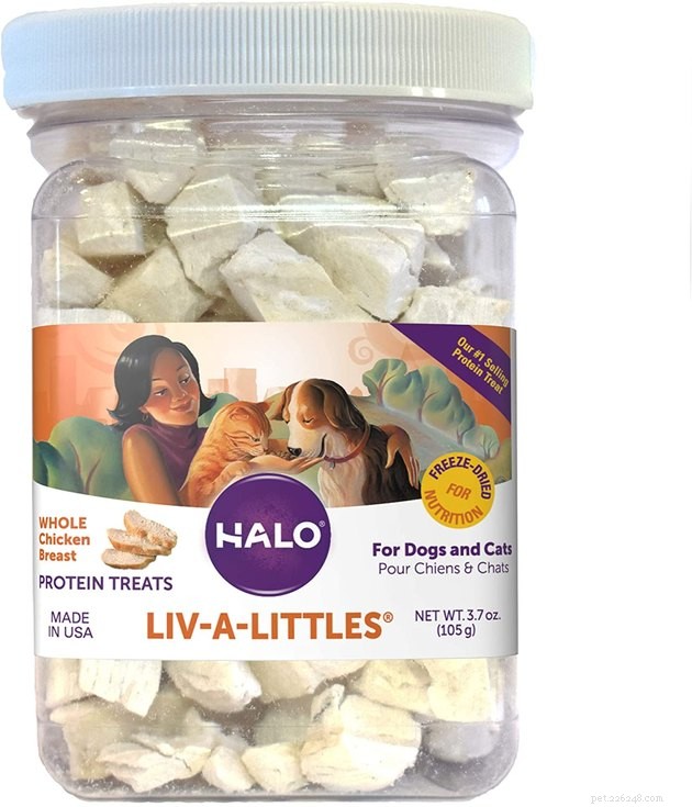 Top 10 Freeze‑Dried Dog Treats of 2022: Health, Taste, and Trust
