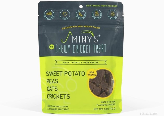 Top Soft Dog Treats of 2022: Best Choices for Your Pet
