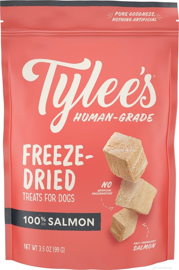 Top 10 Freeze‑Dried Dog Treats of 2022: Health, Taste, and Trust