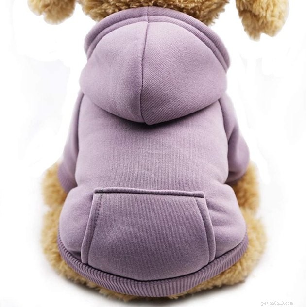 Top Dog Sweaters of 2022: Warm, Cozy, and Comfortable