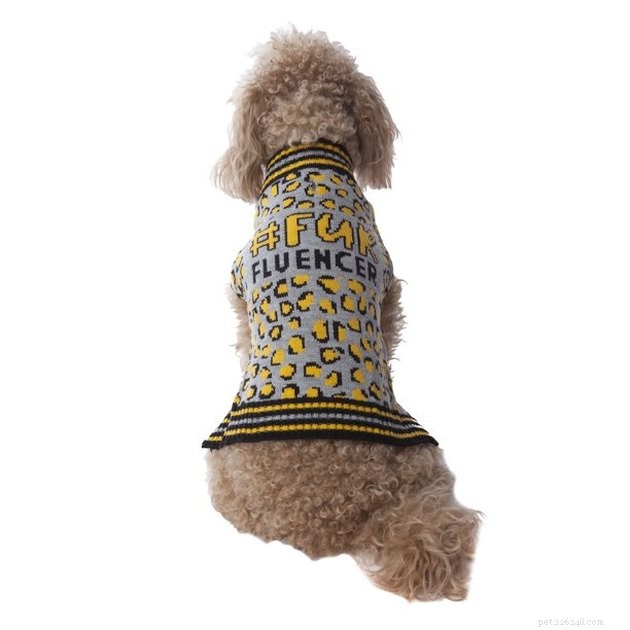 Top Dog Sweaters of 2022: Warm, Cozy, and Comfortable