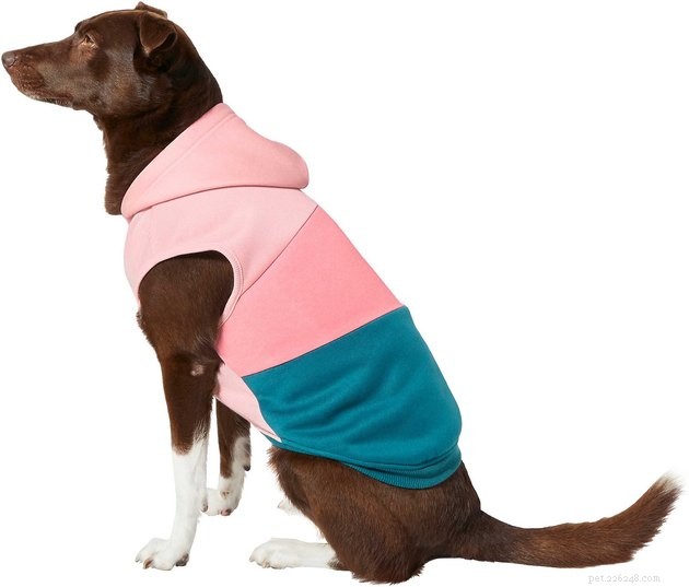 Top Dog Sweaters of 2022: Warm, Cozy, and Comfortable