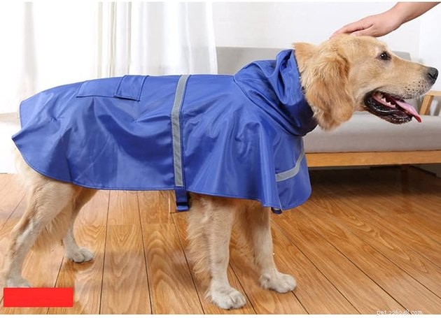 Top Dog Raincoats of 2022: Keep Your Pup Dry and Comfortable
