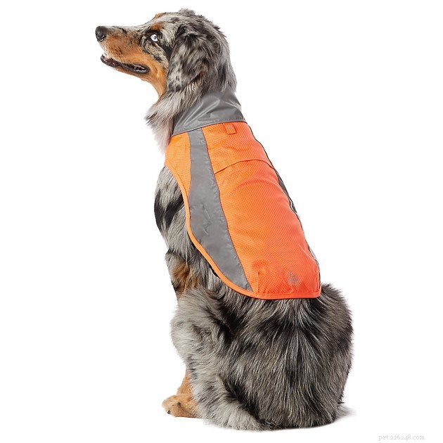 Top Dog Raincoats of 2022: Keep Your Pup Dry and Comfortable