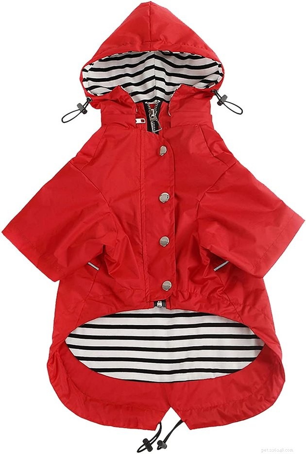 Top Dog Raincoats of 2022: Keep Your Pup Dry and Comfortable