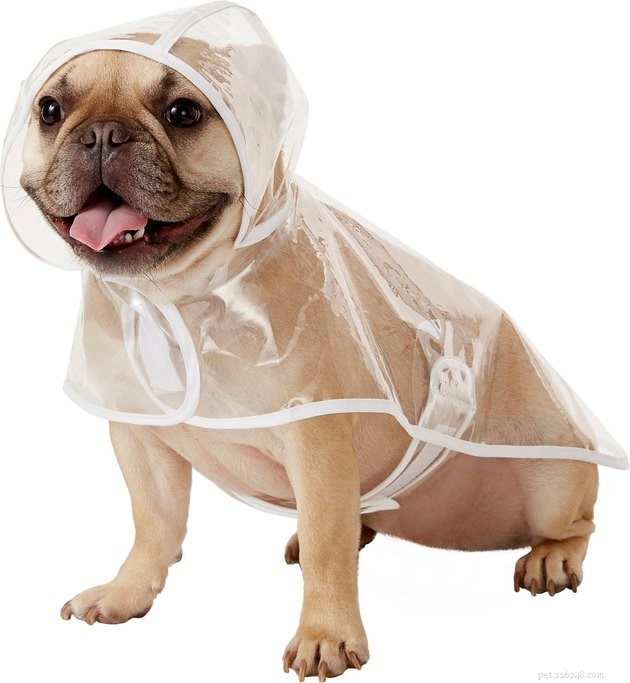Top Dog Raincoats of 2022: Keep Your Pup Dry and Comfortable