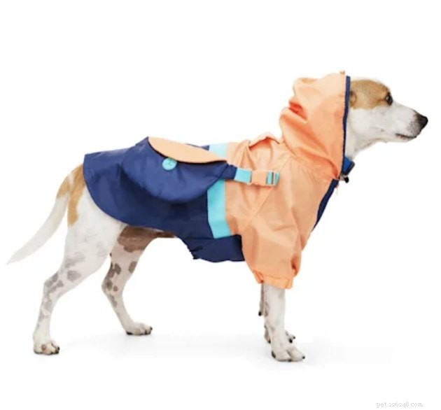 Top Dog Raincoats of 2022: Keep Your Pup Dry and Comfortable