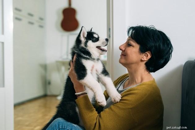 Dog Training: Group Classes vs. Solo Training – Which Works Best?