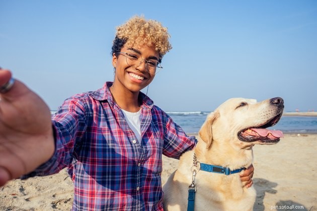 6 Essential Tips for a Safe & Fun Beach Day with Your Dog