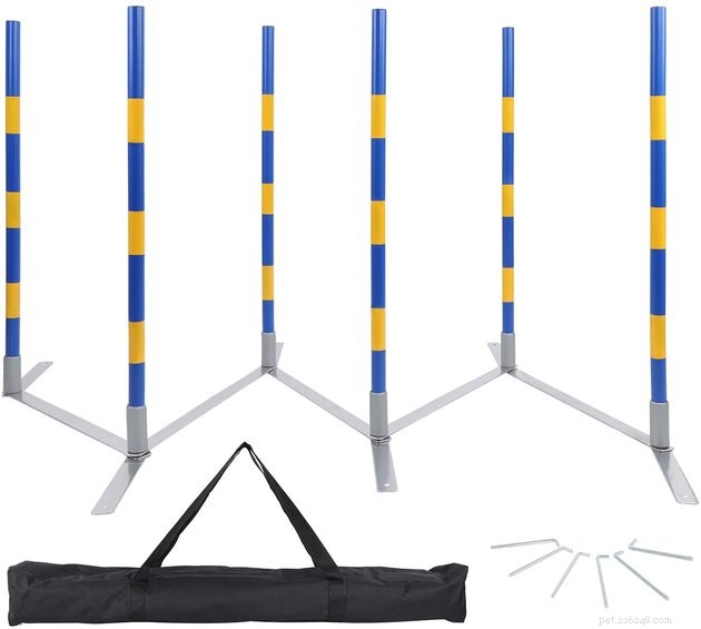 Top Dog Agility Equipment of 2022: Boost Your Pet’s Performance