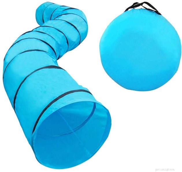Top Dog Agility Equipment of 2022: Boost Your Pet’s Performance