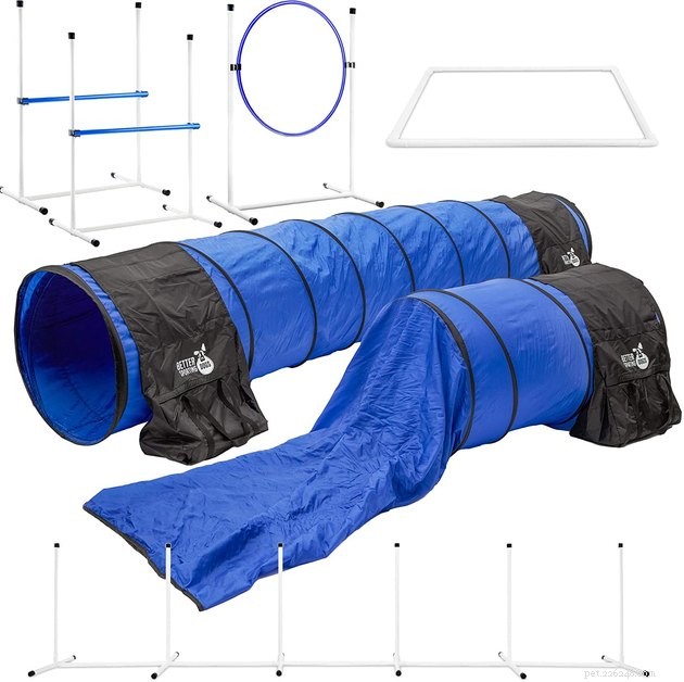 Top Dog Agility Equipment of 2022: Boost Your Pet’s Performance