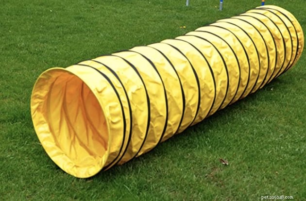 Top Dog Agility Equipment of 2022: Boost Your Pet’s Performance