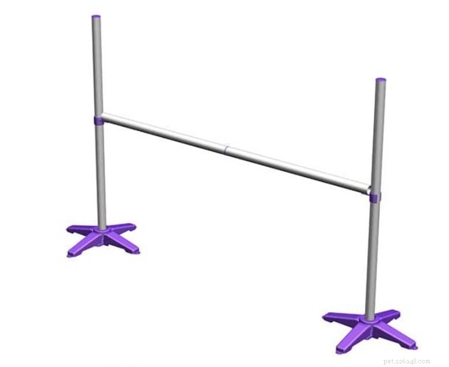 Top Dog Agility Equipment of 2022: Boost Your Pet’s Performance