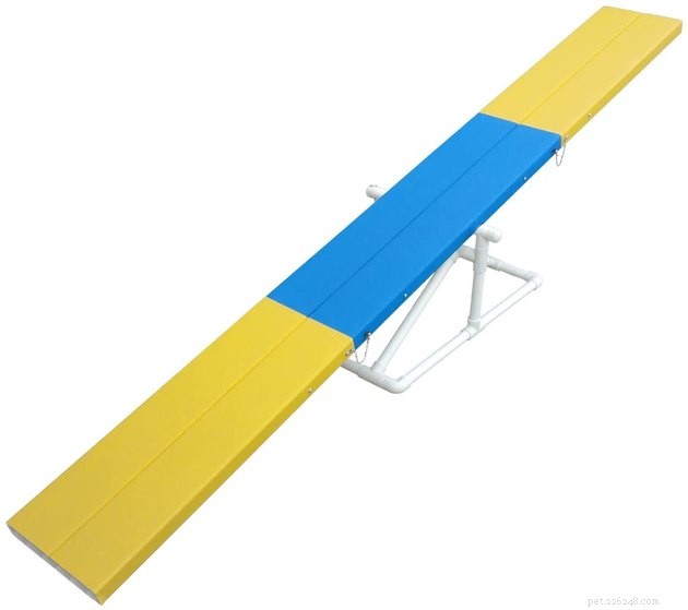 Top Dog Agility Equipment of 2022: Boost Your Pet’s Performance