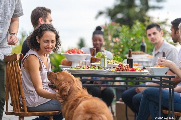 Protect Your Pet: 9 Expert Tips for a Safe Dog-Friendly Summer BBQ