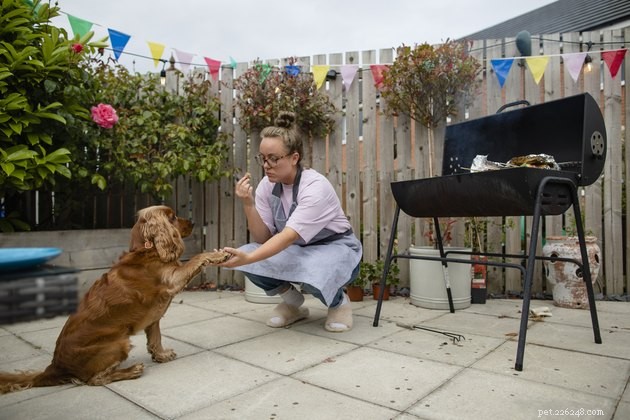 Protect Your Pet: 9 Expert Tips for a Safe Dog-Friendly Summer BBQ