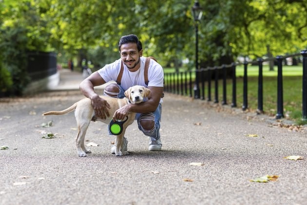 Protect Your Pup: 7 Must-Know Summer Walking Safety Tips