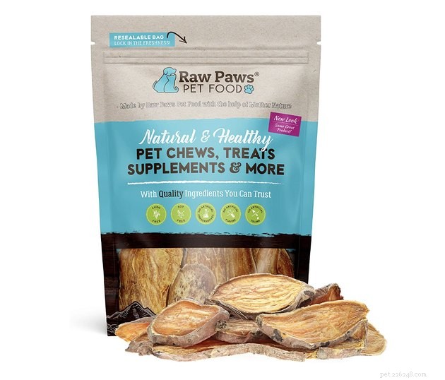 Top Dog Treats for Managing Kidney Disease – 2022 Guide