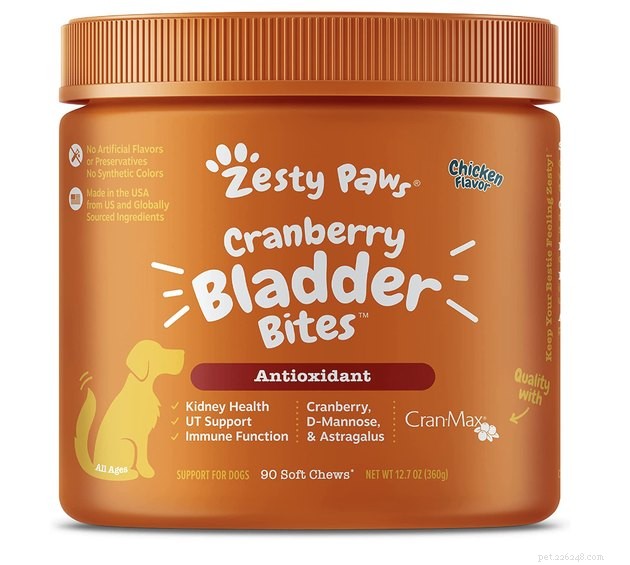 Top Dog Treats for Managing Kidney Disease – 2022 Guide