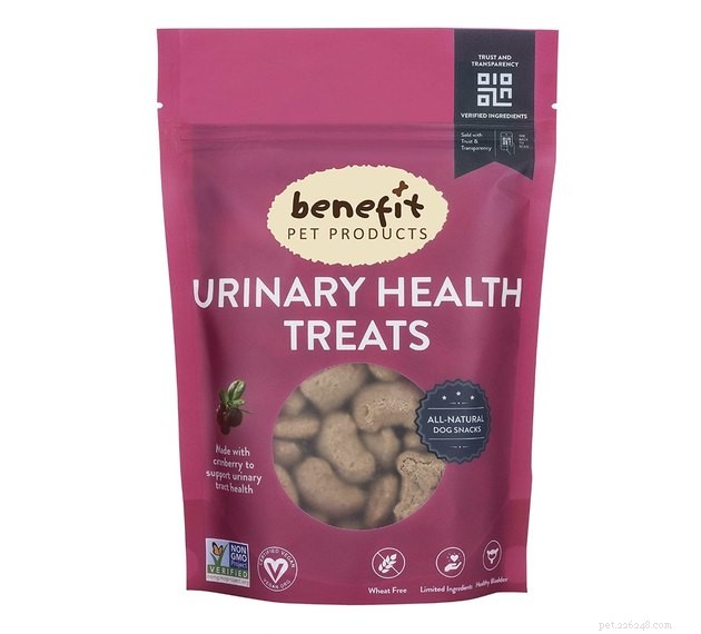 Top Dog Treats for Managing Kidney Disease – 2022 Guide
