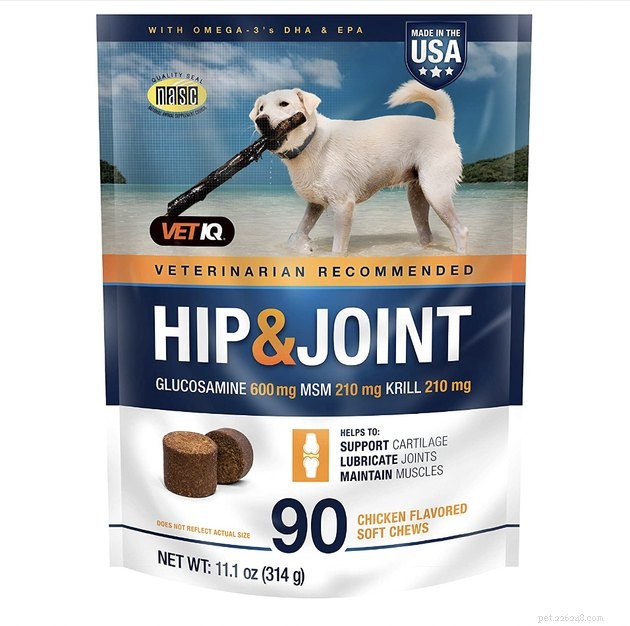 Expert Guide to the Best Hip & Joint Supplements for Dogs