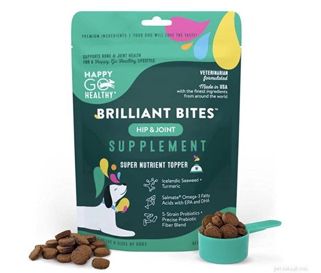 Expert Guide to the Best Hip & Joint Supplements for Dogs