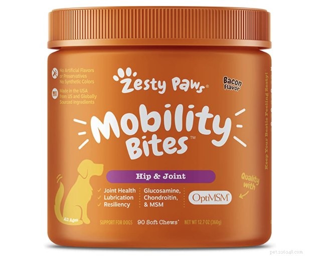 Expert Guide to the Best Hip & Joint Supplements for Dogs