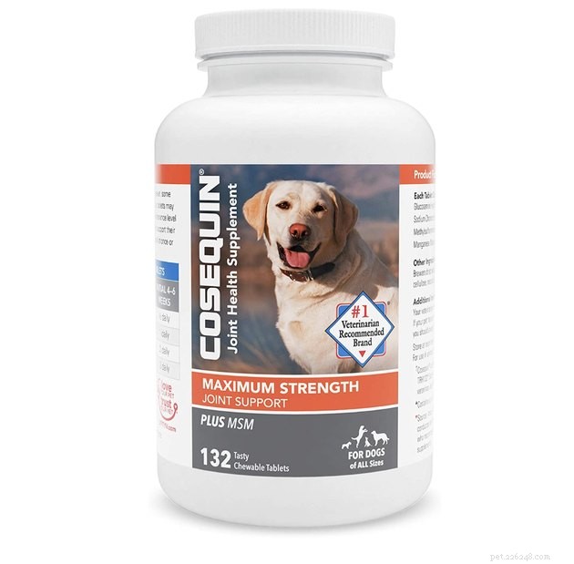 Expert Guide to the Best Hip & Joint Supplements for Dogs