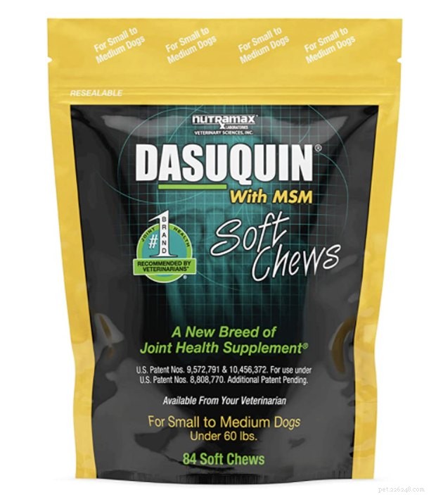 Expert Guide to the Best Hip & Joint Supplements for Dogs