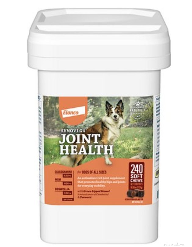 Expert Guide to the Best Hip & Joint Supplements for Dogs