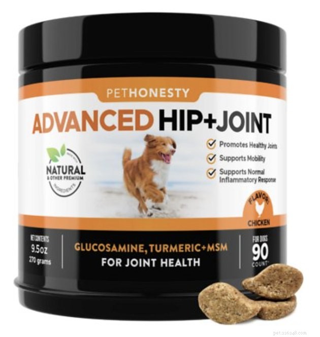 Expert Guide to the Best Hip & Joint Supplements for Dogs