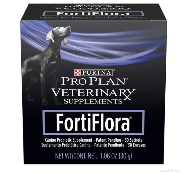 Top Dog Probiotics 2022: Boost Gut Health & Digestive Wellness