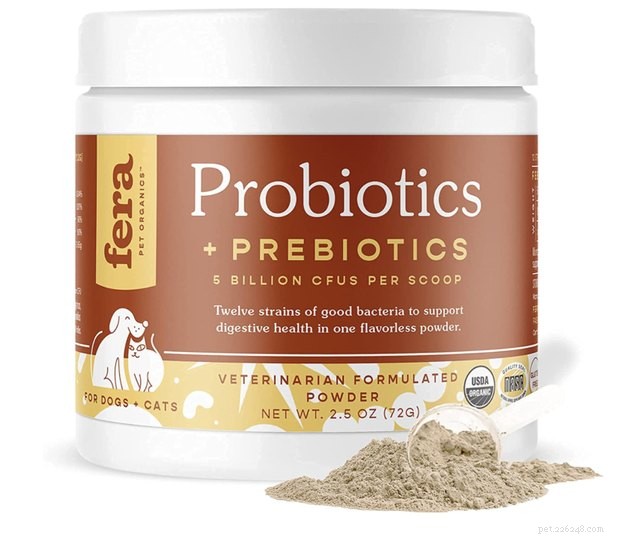 Top Dog Probiotics 2022: Boost Gut Health & Digestive Wellness