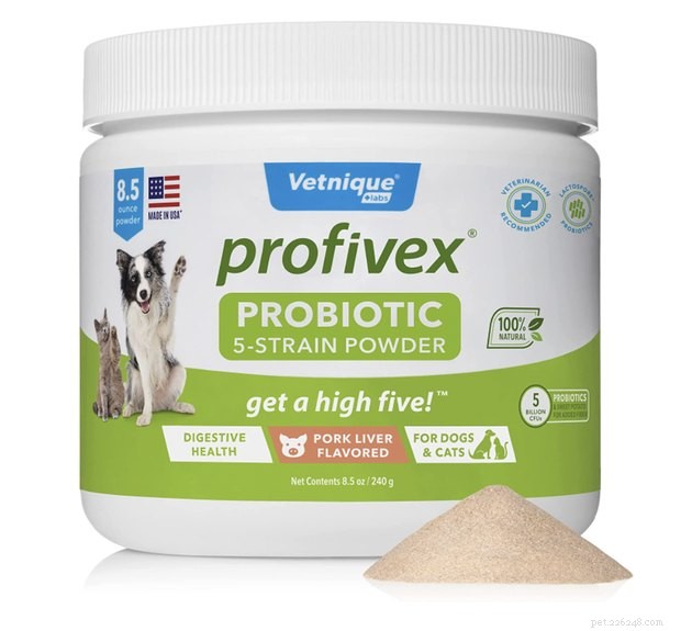 Top Dog Probiotics 2022: Boost Gut Health & Digestive Wellness