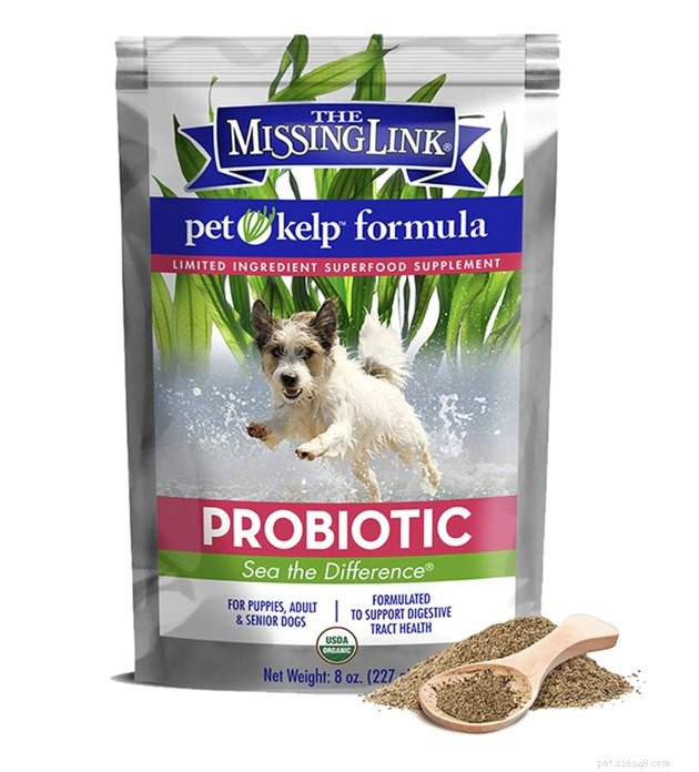 Top Dog Probiotics 2022: Boost Gut Health & Digestive Wellness