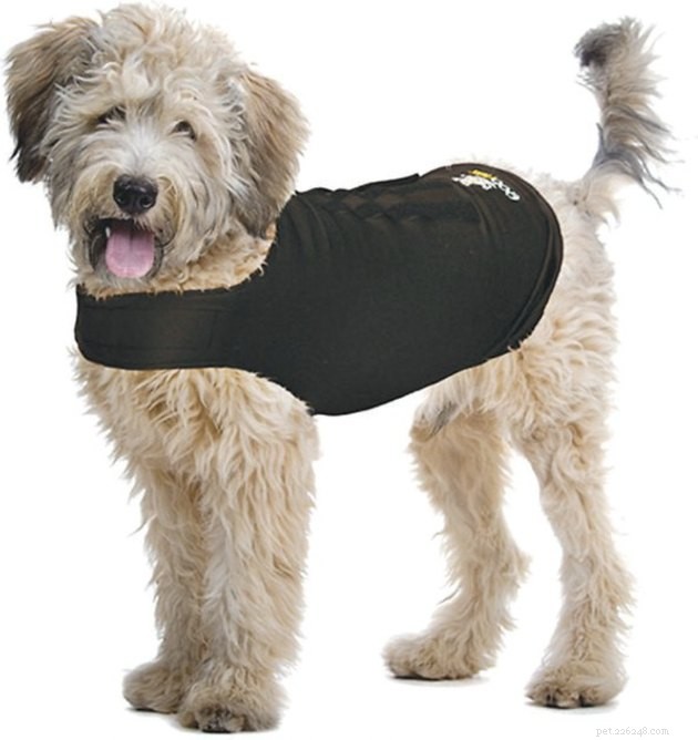 Best Dog Anxiety Vests 2022: Calming Gear for Your Anxious Pet