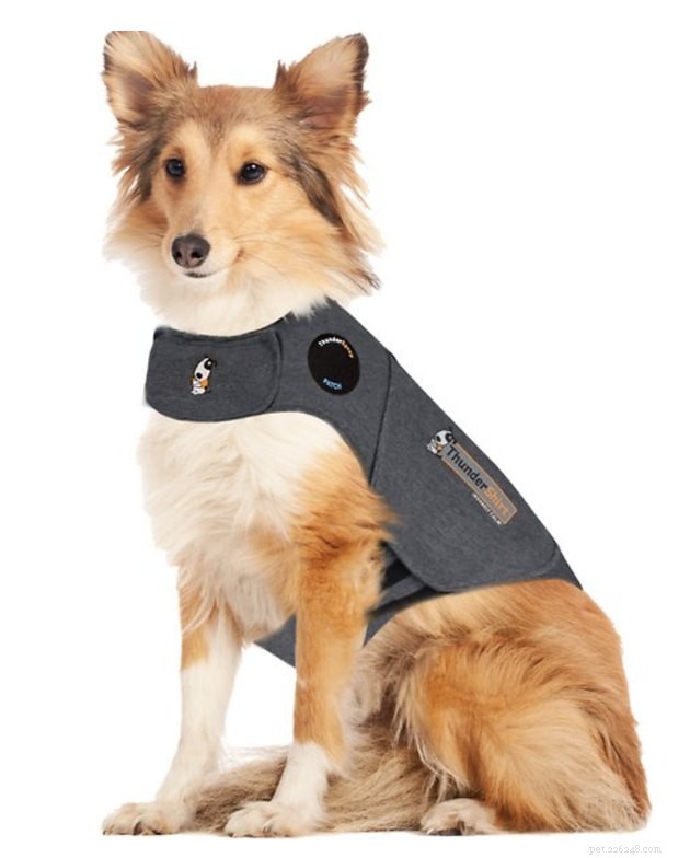 Best Dog Anxiety Vests 2022: Calming Gear for Your Anxious Pet