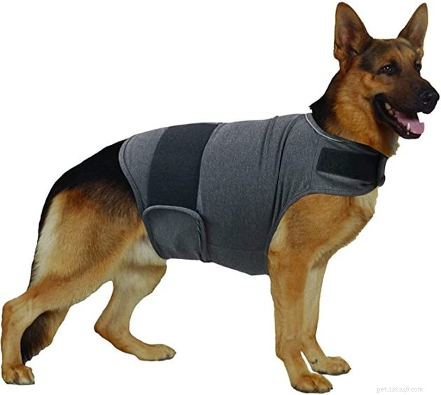 Best Dog Anxiety Vests 2022: Calming Gear for Your Anxious Pet