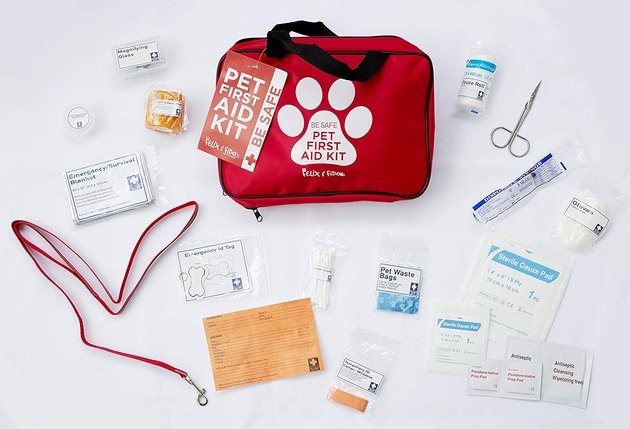 Top 2022 Dog First Aid Kits: Keep Your Pet Safe Anywhere
