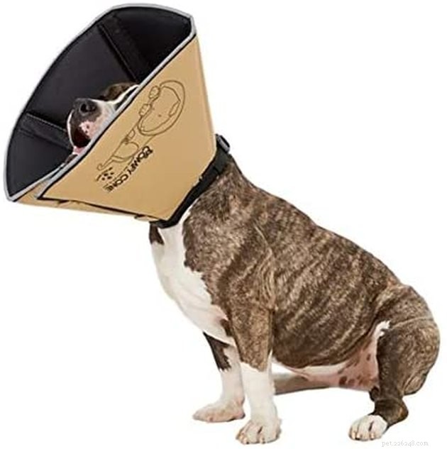 Top Dog Cone Alternatives: Comfort, Safety, and Healing