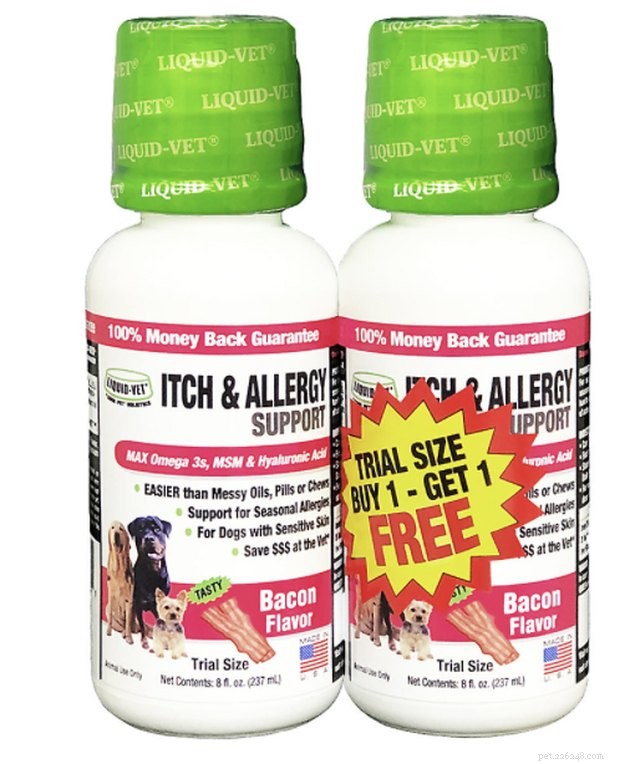 Top Dog Allergy Supplements 2022: Trusted Choices for Health