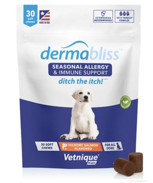 Top Dog Allergy Supplements 2022: Trusted Choices for Health