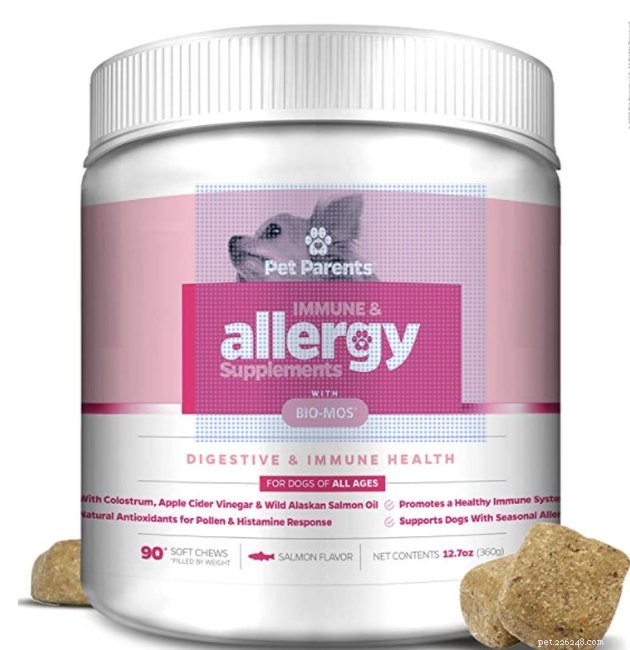 Top Dog Allergy Supplements 2022: Trusted Choices for Health