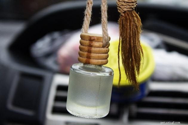 Are Car Fresheners Safe for Dogs? Protect Your Pet with These Tips