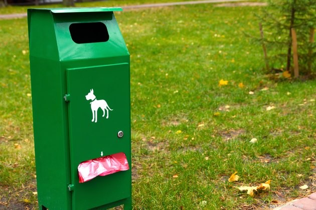 Why a Dog Poop Deep Clean Is Essential for Your Neighborhood