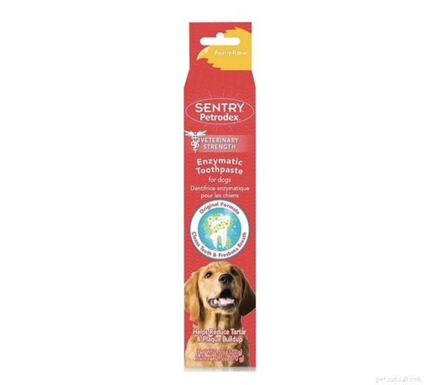 Top Dog Toothpastes of 2022: Expert Picks for Healthy, Fresh Breath