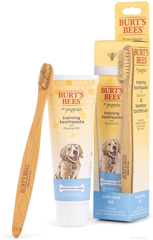 Top Dog Toothpastes of 2022: Expert Picks for Healthy, Fresh Breath